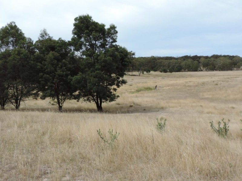 Lot 5 Dewsbury Lane, Quialigo NSW 2580