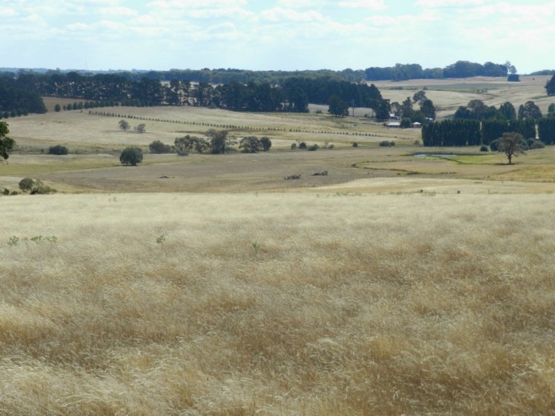 61 Woodhouselee Road, Laggan NSW 2583