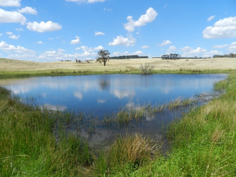 61 Woodhouselee Road, Laggan NSW 2583