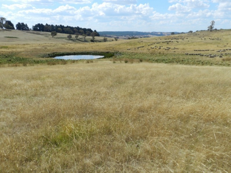 61 Woodhouselee Road, Laggan NSW 2583