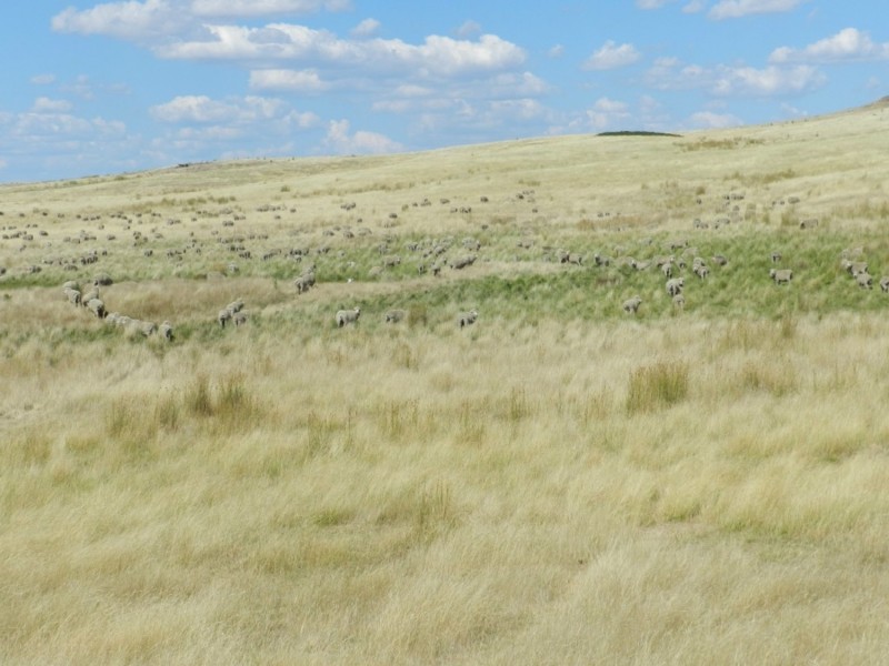 61 Woodhouselee Road, Laggan NSW 2583