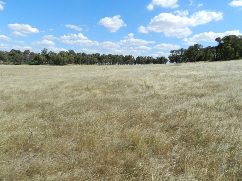 61 Woodhouselee Road, Laggan NSW 2583