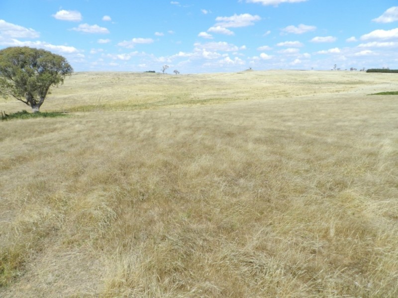 61 Woodhouselee Road, Laggan NSW 2583