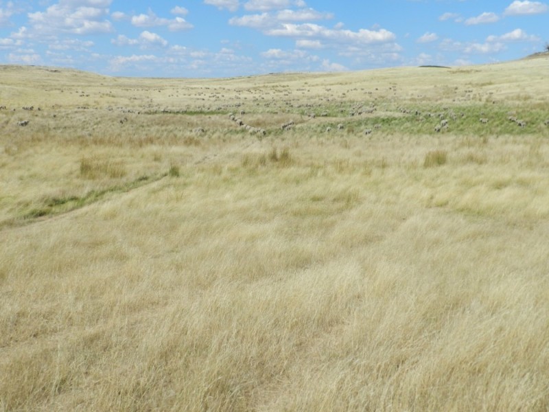 61 Woodhouselee Road, Laggan NSW 2583