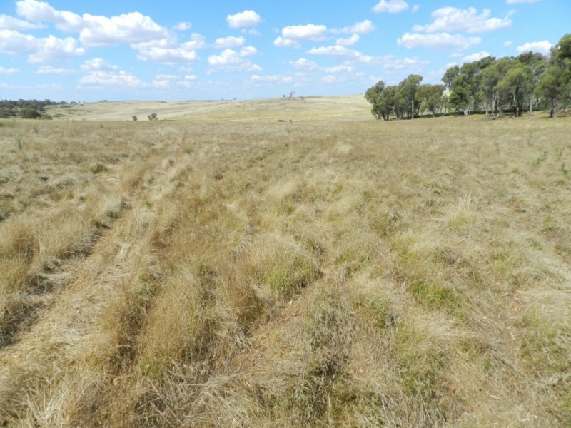 61 Woodhouselee Road, Laggan NSW 2583