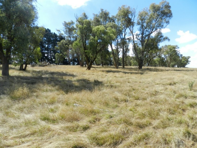 61 Woodhouselee Road, Laggan NSW 2583