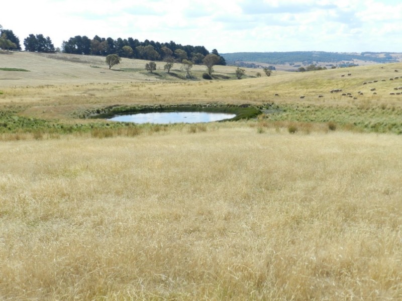 61 Woodhouselee Road, Laggan NSW 2583