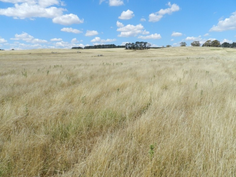 61 Woodhouselee Road, Laggan NSW 2583