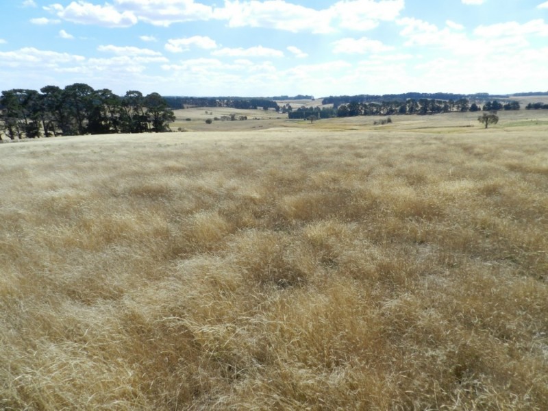 61 Woodhouselee Road, Laggan NSW 2583