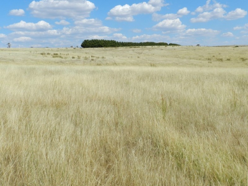 61 Woodhouselee Road, Laggan NSW 2583