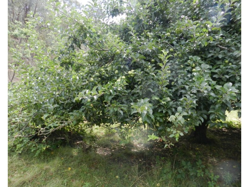 63 Off Millsvale Road, Fullerton NSW 2583