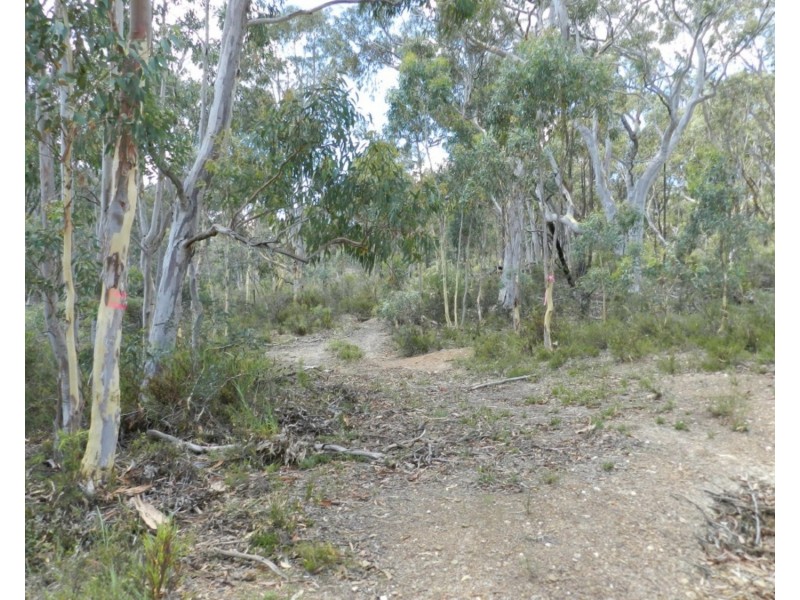63 Off Millsvale Road, Fullerton NSW 2583