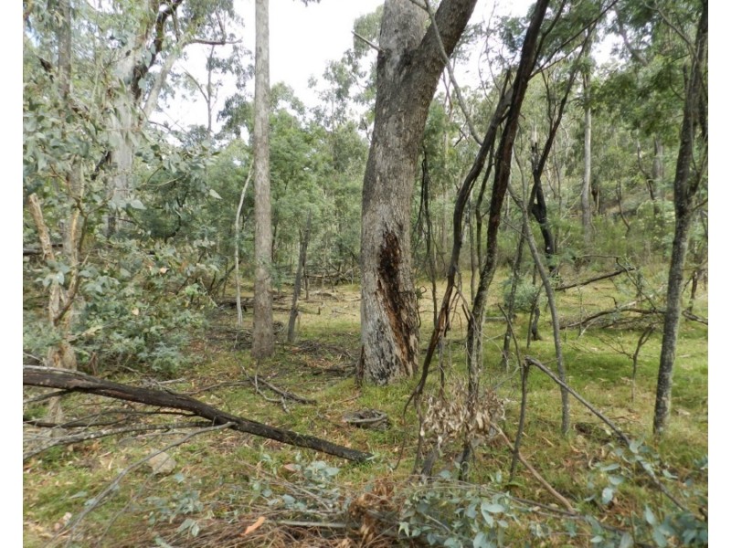 63 Off Millsvale Road, Fullerton NSW 2583