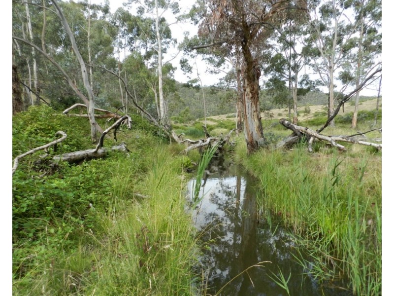 63 Off Millsvale Road, Fullerton NSW 2583
