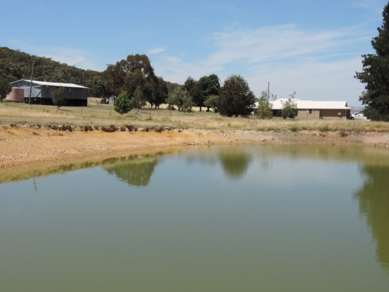 2966 Junction Point Road, Binda NSW 2583