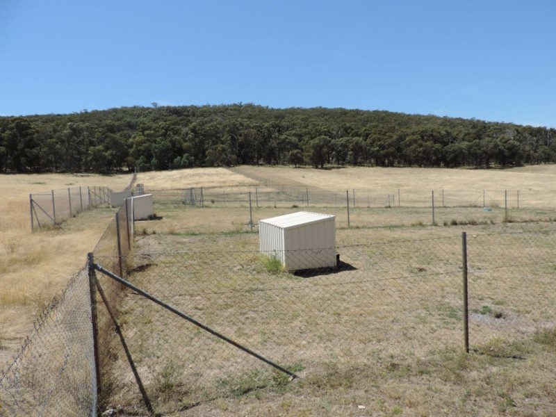 2966 Junction Point Road, Binda NSW 2583