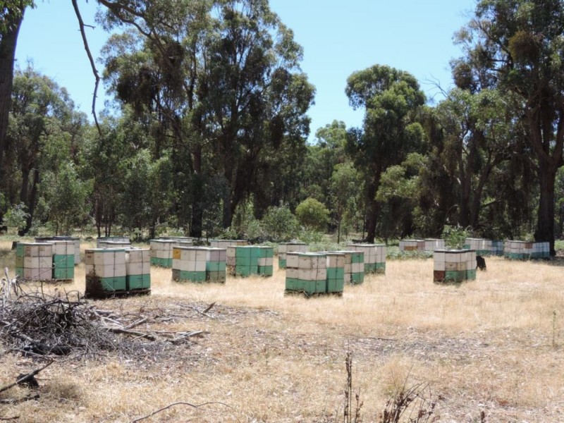 2966 Junction Point Road, Binda NSW 2583