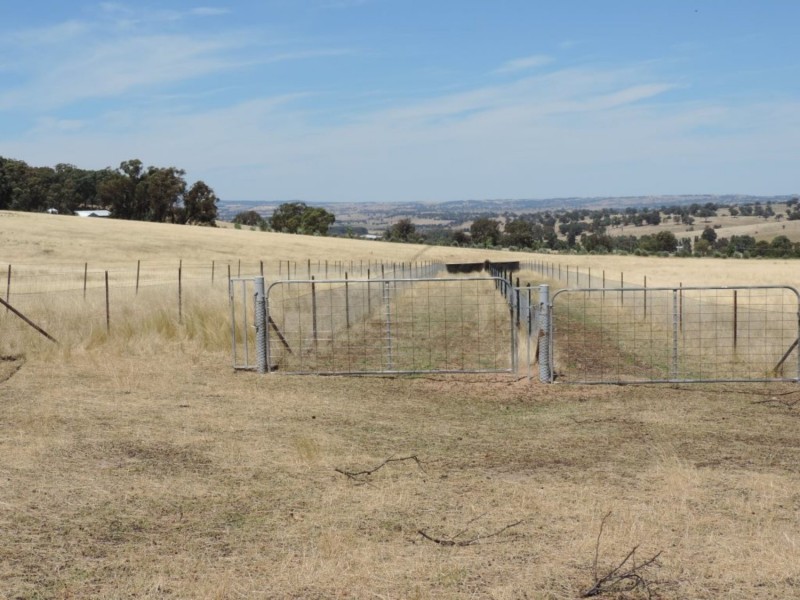 2966 Junction Point Road, Binda NSW 2583