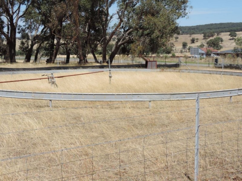 2966 Junction Point Road, Binda NSW 2583