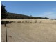 2966 Junction Point Road, Binda NSW 2583