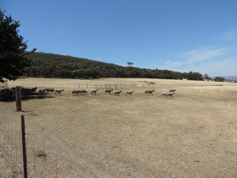2966 Junction Point Road, Binda NSW 2583