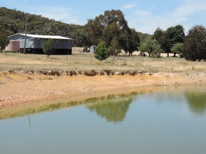 2966 Junction Point Road, Binda NSW 2583