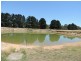 2966 Junction Point Road, Binda NSW 2583