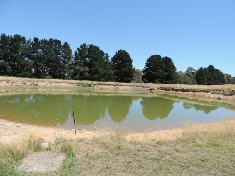 2966 Junction Point Road, Binda NSW 2583