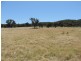 2966 Junction Point Road, Binda NSW 2583