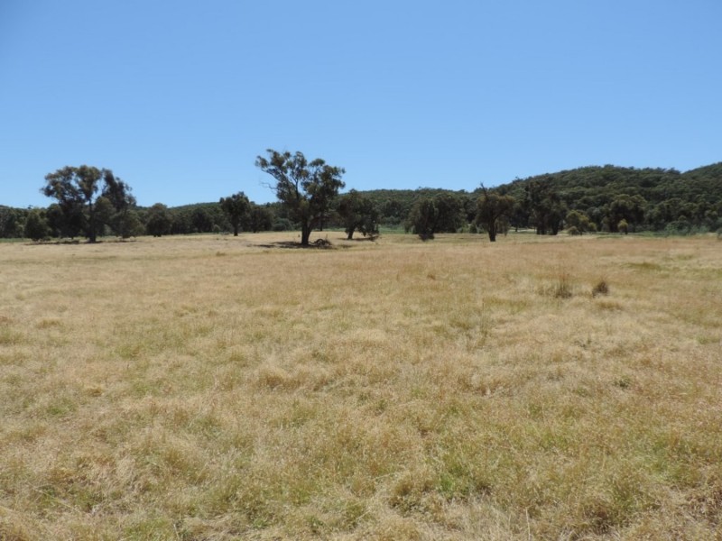 2966 Junction Point Road, Binda NSW 2583