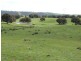 1018 Bannister Lane, Bannister NSW 2580