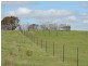 1018 Bannister Lane, Bannister NSW 2580