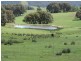 1018 Bannister Lane, Bannister NSW 2580