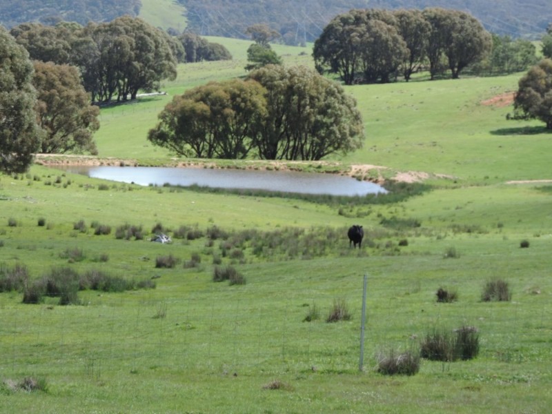 1018 Bannister Lane, Bannister NSW 2580