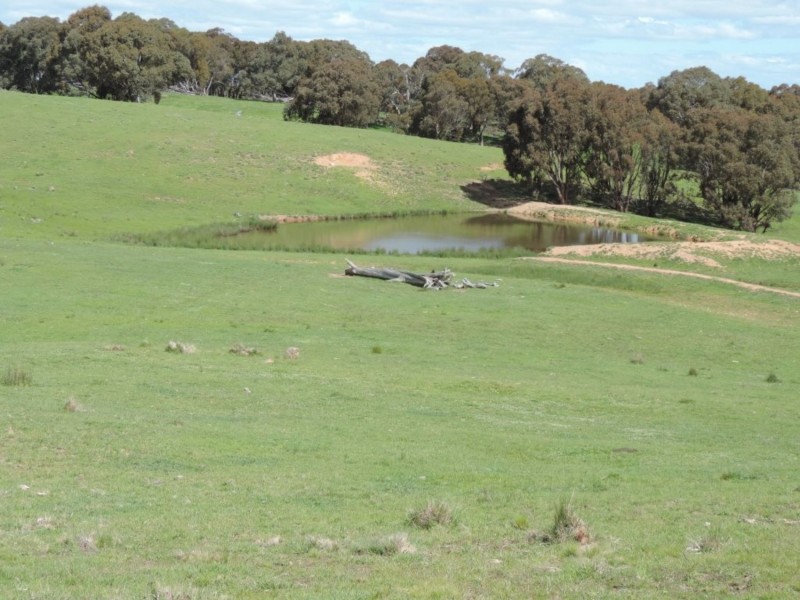 1018 Bannister Lane, Bannister NSW 2580