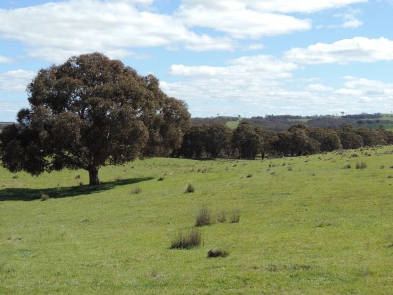 1018 Bannister Lane, Bannister NSW 2580