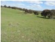 1018 Bannister Lane, Bannister NSW 2580