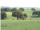 1018 Bannister Lane, Bannister NSW 2580