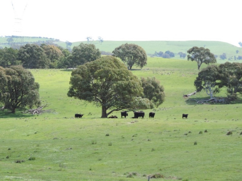 1018 Bannister Lane, Bannister NSW 2580