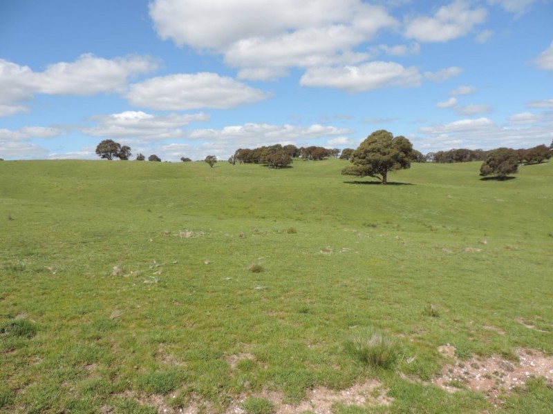 1018 Bannister Lane, Bannister NSW 2580
