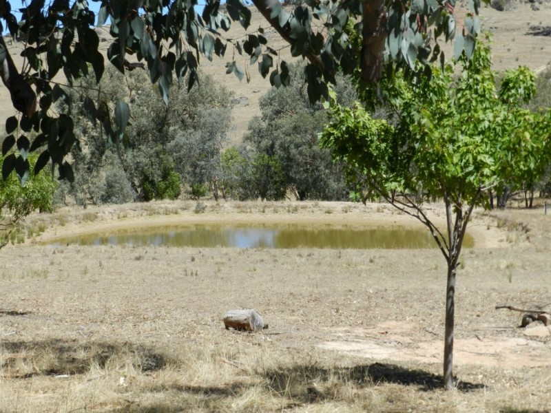 2228 Grabine Road, Bigga NSW 2583