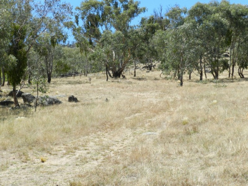 2228 Grabine Road, Bigga NSW 2583