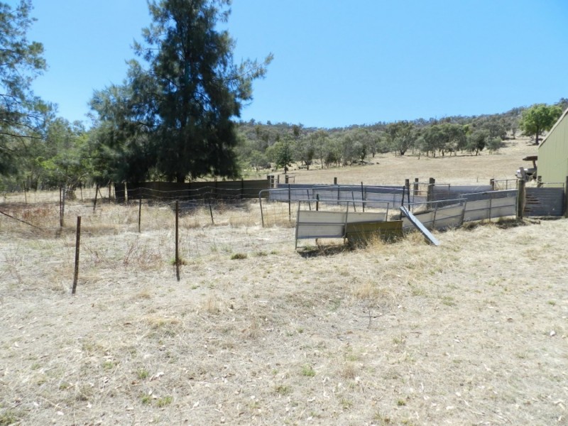 2228 Grabine Road, Bigga NSW 2583