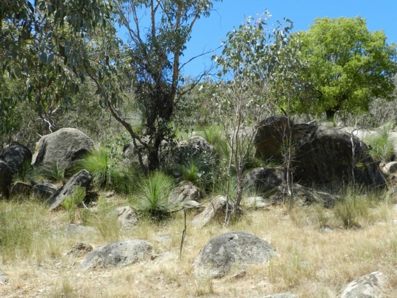 2228 Grabine Road, Bigga NSW 2583