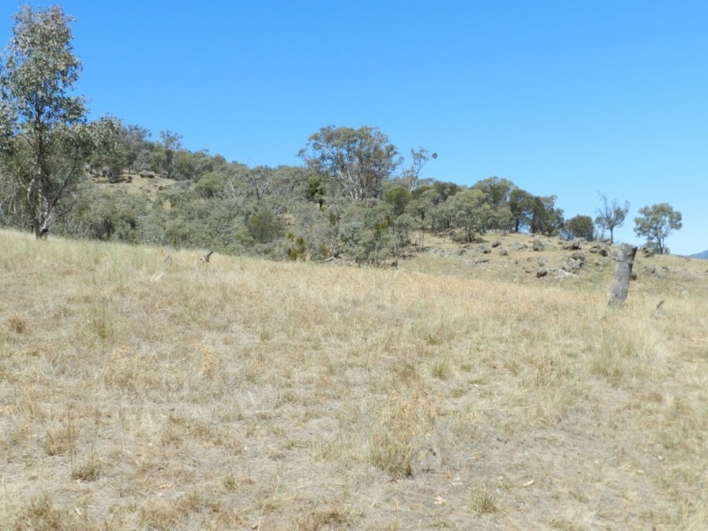 2228 Grabine Road, Bigga NSW 2583