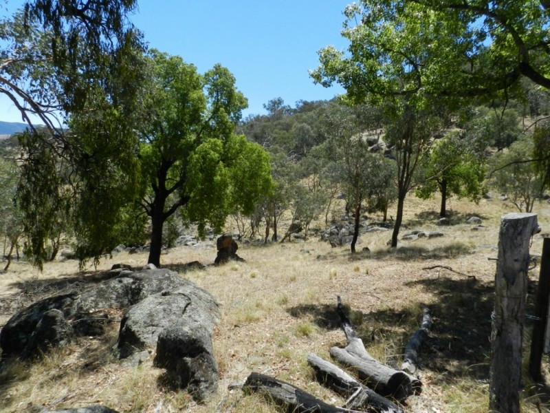 2228 Grabine Road, Bigga NSW 2583