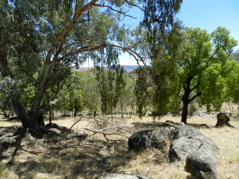 2228 Grabine Road, Bigga NSW 2583