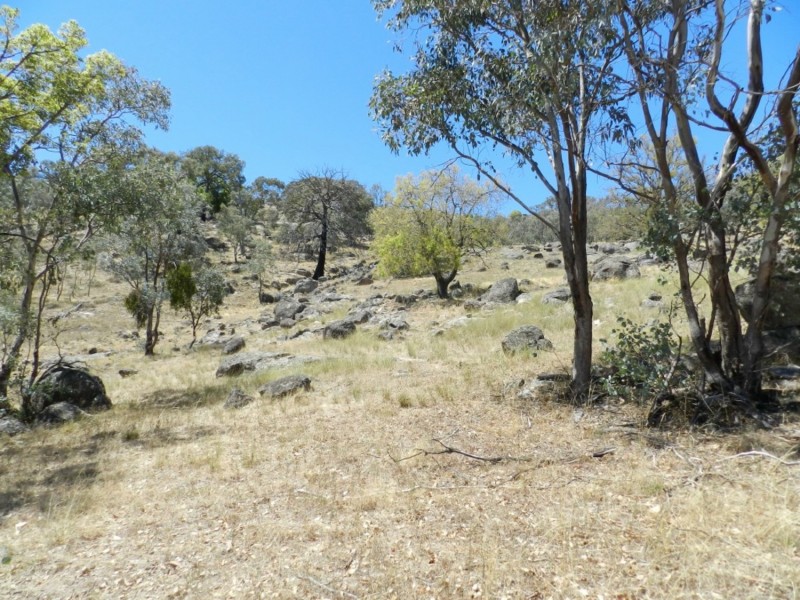 2228 Grabine Road, Bigga NSW 2583