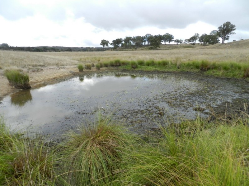 1193 (Lot 5) Bullamalita Road, Bungonia NSW 2580