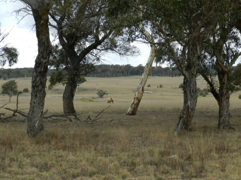 1193 (Lot 5) Bullamalita Road, Bungonia NSW 2580